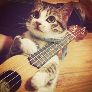 GA丫SEⅹ老头巨大
